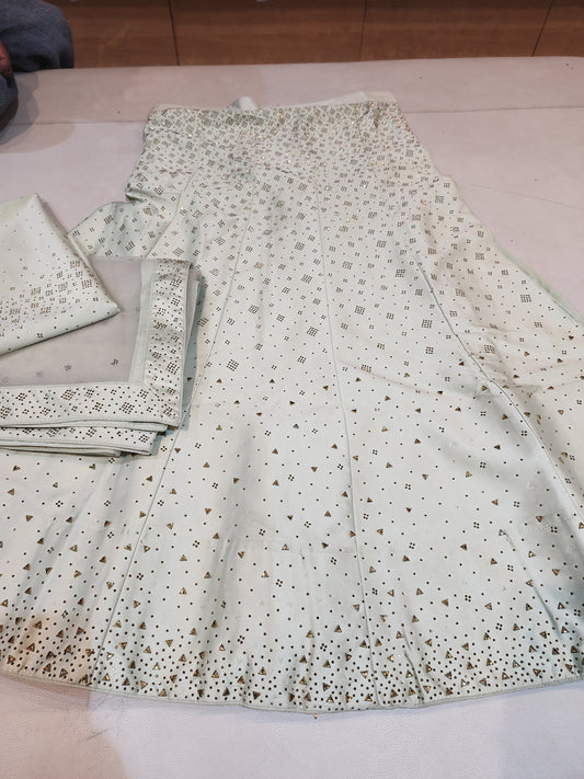 Light Pista Green colour, crystal work